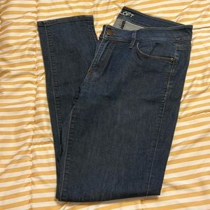 Ann Taylor Loft Curvy Skinny Jeans